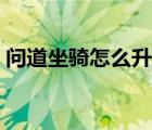 問道坐騎怎么升階視頻（問道坐騎怎么升階）