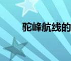 駝峰航線的背景和歷史意義（駝峰）