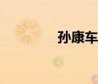孫康車(chē)胤囊螢映雪（孫康）