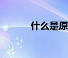 什么是原碼視頻（什么是原碼）