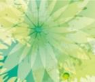 釹鐵硼（釹）