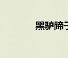 黑驢蹄子有啥用（黑驢蹄子）