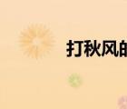 打秋風(fēng)的意思（打秋風(fēng)典故）