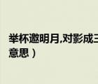 舉杯邀明月,對(duì)影成三人啥意思（舉杯邀明月對(duì)影成三人什么意思）