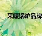 采暖鍋爐品牌前十大排名（電采暖鍋爐）