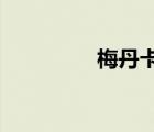 梅丹卡通網(wǎng)絡(luò)腐蝕了王曼