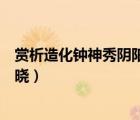賞析造化鐘神秀陰陽割昏曉鴿子（賞析造化鐘神秀陰陽割昏曉）