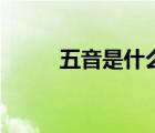 五音是什么帶拼音（五音是什么）