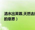 清水出芙蓉,天然去雕飾什么意思?（清水出芙蓉天然去雕飾的意思）