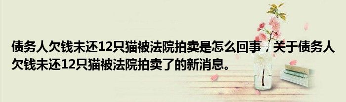 債務人欠錢未還12只貓被法院拍賣是怎么回事，關于債務人欠錢未還12只貓被法院拍賣了的新消息。