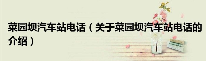 菜園壩汽車站電話（關(guān)于菜園壩汽車站電話的介紹）