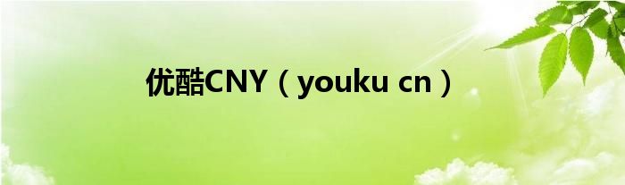 優(yōu)酷CNY（youku cn）