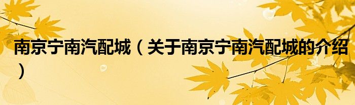 南京寧南汽配城（關(guān)于南京寧南汽配城的介紹）