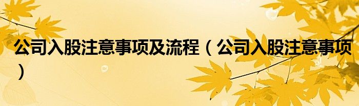 公司入股注意事項及流程（公司入股注意事項）