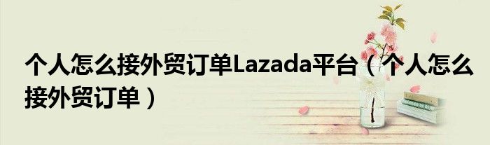 個人怎么接外貿(mào)訂單Lazada平臺（個人怎么接外貿(mào)訂單）