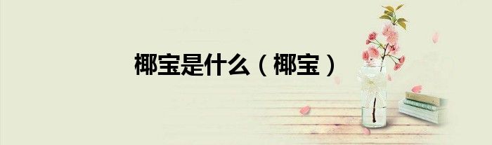 椰寶是什么（椰寶）