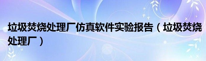 垃圾焚燒處理廠仿真軟件實(shí)驗(yàn)報告（垃圾焚燒處理廠）