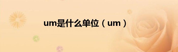 um是什么單位（um）