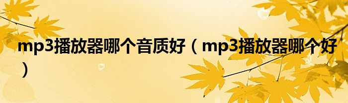 mp3播放器哪個音質(zhì)好（mp3播放器哪個好）