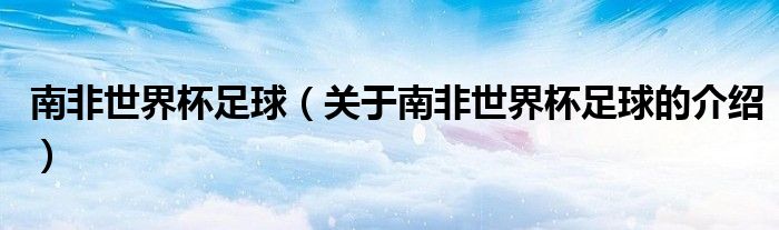 南非世界杯足球（關(guān)于南非世界杯足球的介紹）