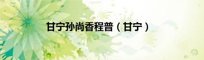 甘寧孫尚香程普（甘寧）