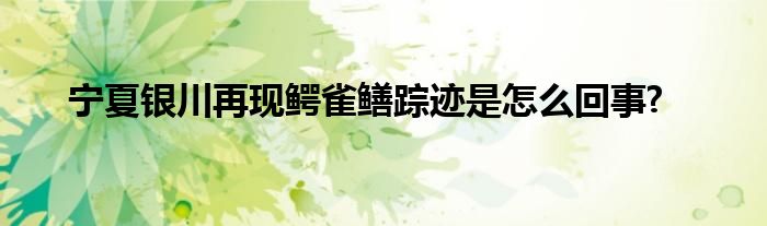 寧夏銀川再現(xiàn)鱷雀鱔蹤跡是怎么回事?