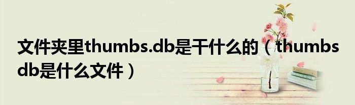 文件夾里thumbs.db是干什么的（thumbs db是什么文件）