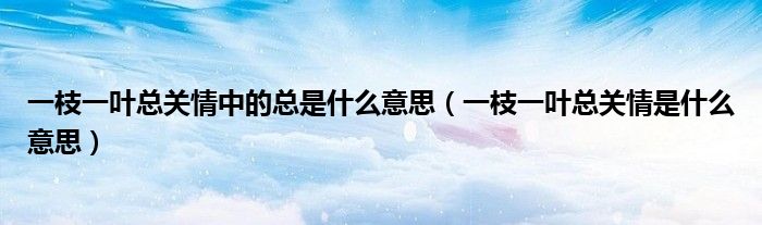 一枝一葉總關(guān)情中的總是什么意思（一枝一葉總關(guān)情是什么意思）