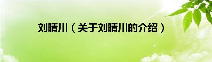 劉晴川（關(guān)于劉晴川的介紹）
