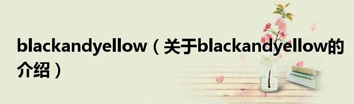 blackandyellow（關(guān)于blackandyellow的介紹）