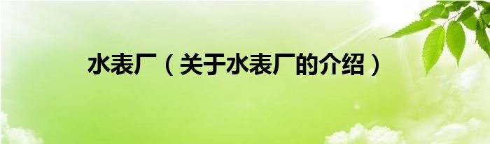 水表廠（關(guān)于水表廠的介紹）