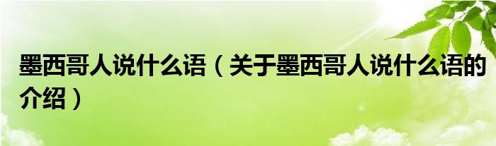 墨西哥人說什么語（關(guān)于墨西哥人說什么語的介紹）