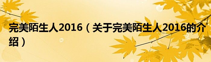 完美陌生人2016（關(guān)于完美陌生人2016的介紹）