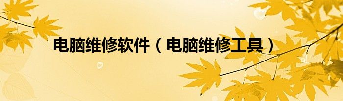 電腦維修軟件（電腦維修工具）