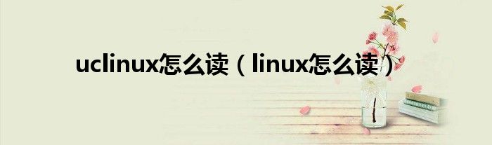 uclinux怎么讀（linux怎么讀）