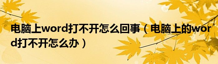 電腦上word打不開怎么回事（電腦上的word打不開怎么辦）