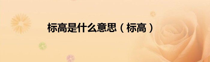標(biāo)高是什么意思（標(biāo)高）