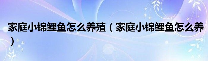 家庭小錦鯉魚怎么養(yǎng)殖（家庭小錦鯉魚怎么養(yǎng)）