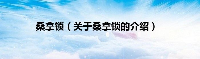 桑拿鎖（關(guān)于桑拿鎖的介紹）