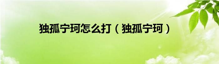 獨(dú)孤寧珂怎么打（獨(dú)孤寧珂）