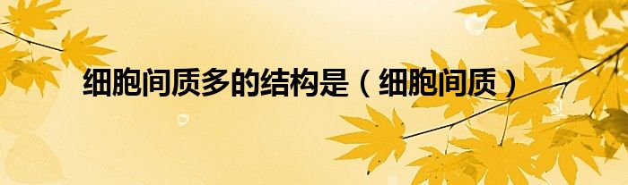 細(xì)胞間質(zhì)多的結(jié)構(gòu)是（細(xì)胞間質(zhì)）