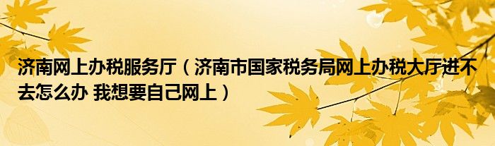 濟南網(wǎng)上辦稅服務廳（濟南市國家稅務局網(wǎng)上辦稅大廳進不去怎么辦 我想要自己網(wǎng)上）