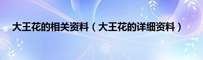 大王花的相關(guān)資料（大王花的詳細資料）