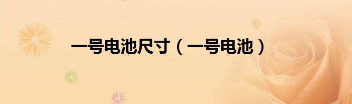 一號(hào)電池尺寸（一號(hào)電池）