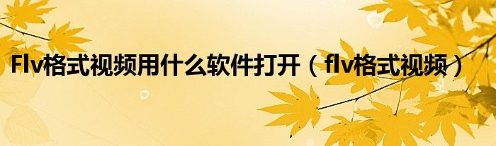 Flv格式視頻用什么軟件打開（flv格式視頻）
