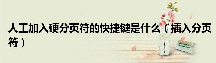 人工加入硬分頁(yè)符的快捷鍵是什么（插入分頁(yè)符）