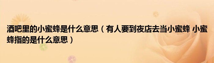 酒吧里的小蜜蜂是什么意思（有人要到夜店去當小蜜蜂 小蜜蜂指的是什么意思）