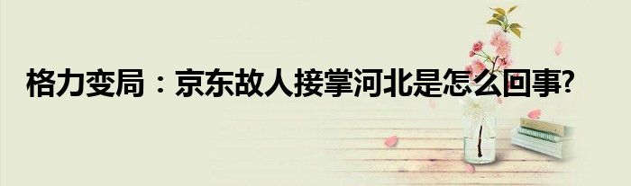 格力變局：京東故人接掌河北是怎么回事?