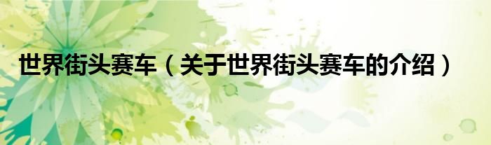 世界街頭賽車(chē)（關(guān)于世界街頭賽車(chē)的介紹）