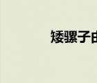 矮騾子由來（什么叫矮騾子）